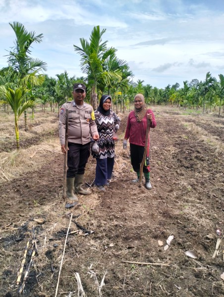 Polsek Merbau Lakukan Pengecekan Lahan Jagung Pipil di Desa Bandul, Dukung Swasembada Pangan Nasional
