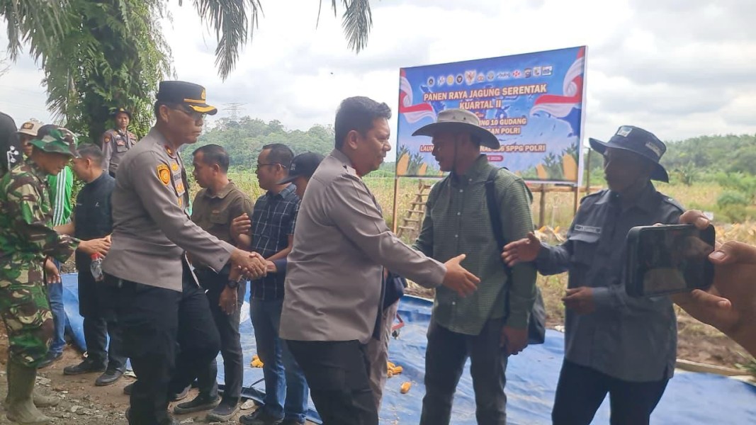 Panen Raya Jagung serentak Kuartal II Tahun 2026 mendukung Ketahanan Pangan