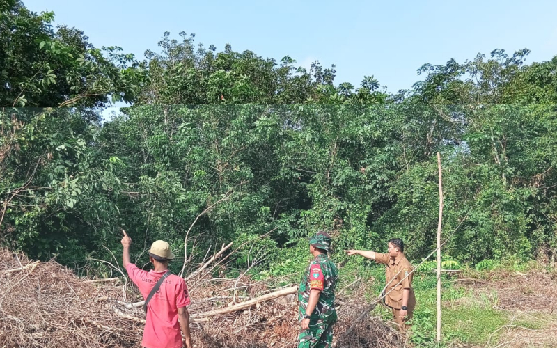 Dukung Swasembada Pangan, Babinsa Koramil 02 Dampingi Pengolahan Lahan Cabai