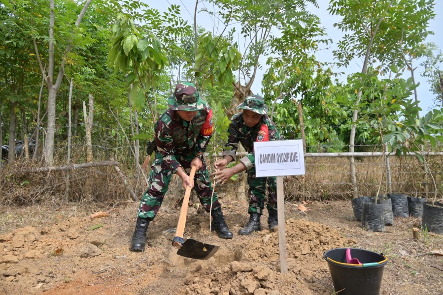 Tanam Pohon Produktif di Lokasi TMMD Ke-129, Wujud Kepedulian Lingkungan dan Ketahanan Pangan