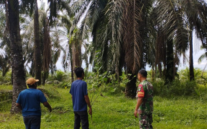 Serma Tarmin Gencarkan Patroli dan Sosialisasi Karhutla di Lubuk Gaung