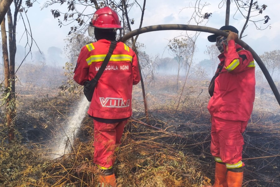 Demi Kejar Api Sejak Pagi, Tim Manggala Agni Menginap Dekat Lokasi Karhutla Pematang Pudu