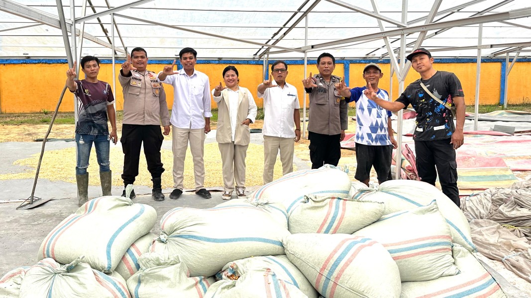 Bukan Main! Polsek Koto Gasib Kirim Dua Ton Lebih Jagung Pipil ke Bulog, Sukseskan Swasembada Pangan