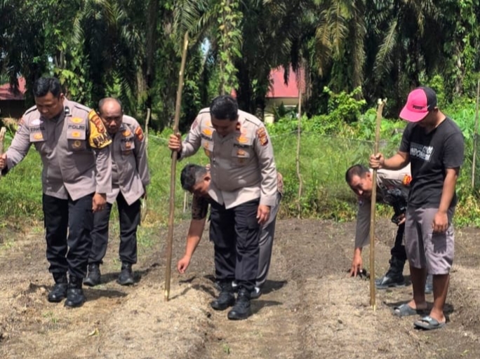 Kapolsek Ujung Batu Gandeng Petani Jagung, Wujud Nyata Dukung Ketahanan Pangan Nasional