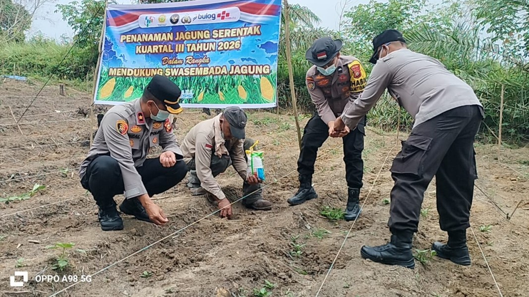 Kompol Syahrizal Pimpin Penanaman Jagung Pipil 0,5 Hektare di Minas Barat Dukung Ketahanan Pangan Nasional 2026