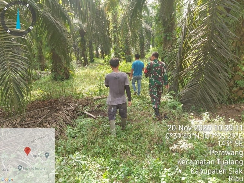 Serda Deddy H. Laksanakan Patroli Karhutla di Tualang, Situasi Aman Tanpa Titik Api