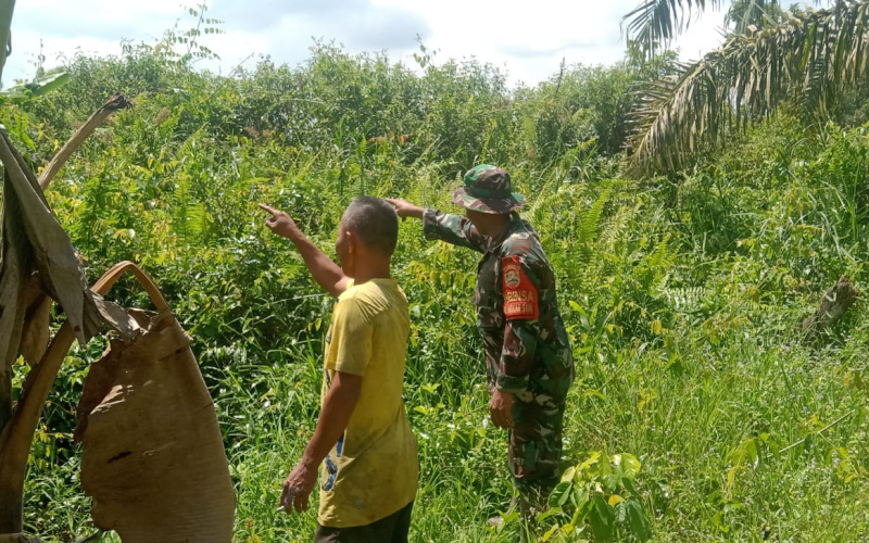 Babinsa Mekarsari Patroli Rutin untuk Memastikan Wilayah Bebas Terhadap Karhutla