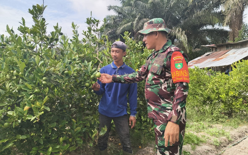 Sertu Arjuna Endar Gencarkan Patroli Karhutla dan Pendampingan Karya Nyata di Dumai Selatan