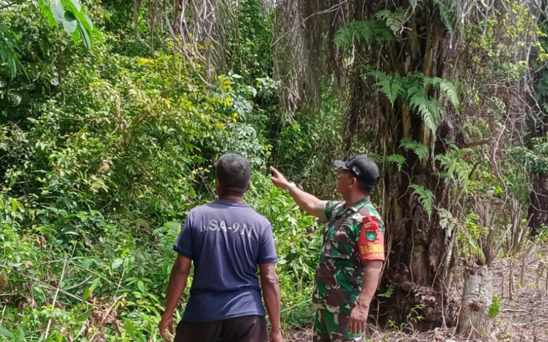 Pencegahan Karhutla, Babinsa Koramil 02 Patroli dan Beri Imbauan kepada Warga Bukit Kapur