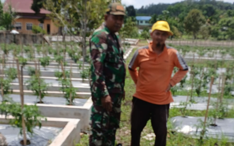 Pererat silaturahmi dengan Warga, Babinsa Pelintung Komunikasi Sosial