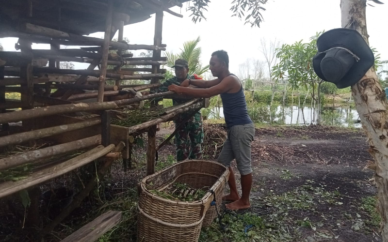 Babinsa Rimba Sekampung Pantau Kesehatan Ternak Warga untuk Cegah PMK