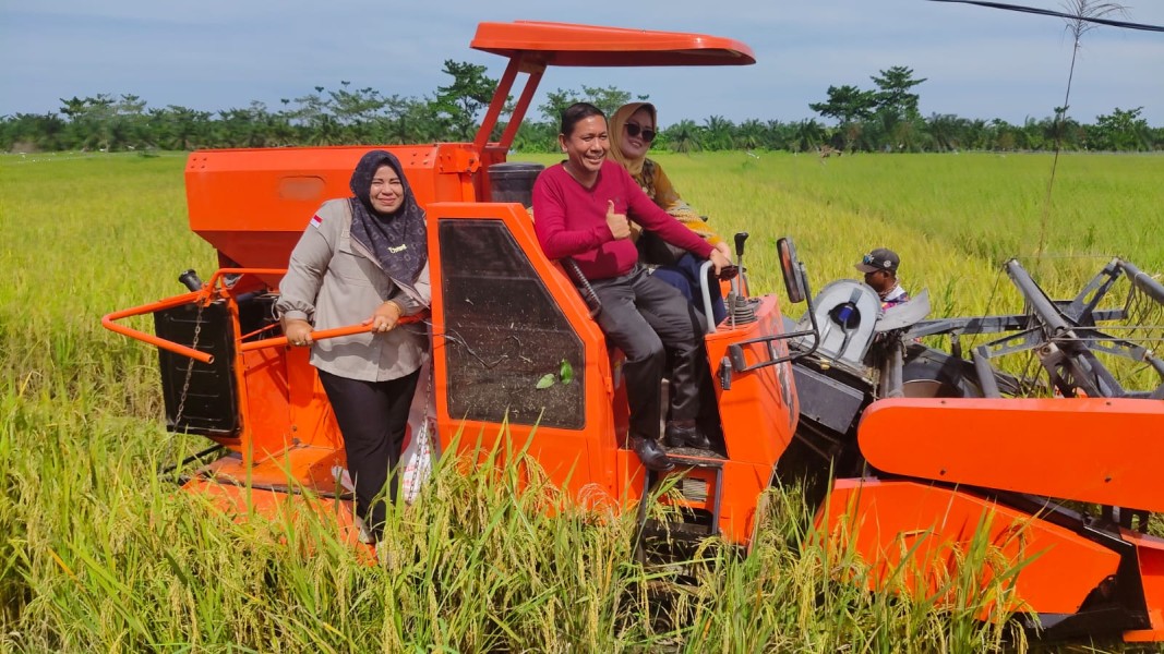 Panen Raya Padi di Pedamaran: Sinergi BUMDES dan Petani Hasilkan 84 Ton Beras
