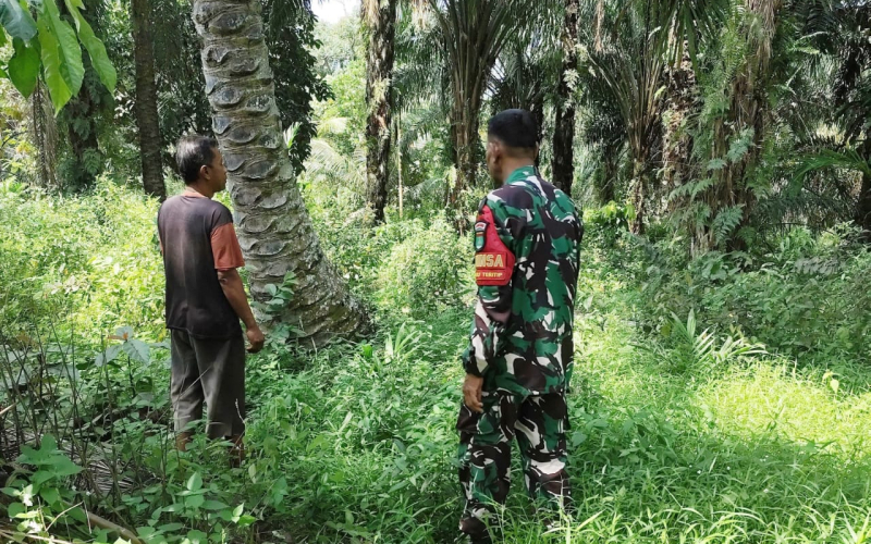 Patroli ke Kawasan Rawan, Babinsa Ingatkan Warga Tak Bakar Lahan