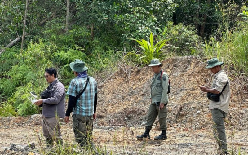 Jual Hutan Lindung di Inhu, Kades dan Sekdes Ditangkap