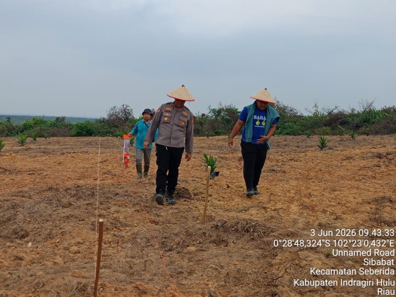 Target Ketahanan Pangan Nasional, Polres Inhu Kembali Tanam Jagung Pipil Bersama Kelompok Tani