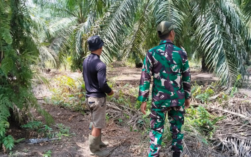 Koramil 03 Intensifkan Patroli Karhutla di Wilayah Rawan