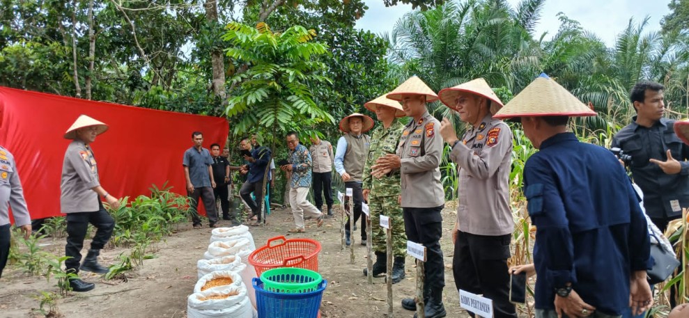 Kapolsek Kampar AKP Asdisyah Mursyid SH Antar Langsung Hasil Panen Petani ke Bulog, Wujud Nyata Dukungan Ketahanan Pangan Nasional