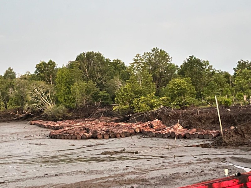 Diduga Curi 200 Tual Sagu, Seorang Pria Diamankan Polsek Sungai Apit