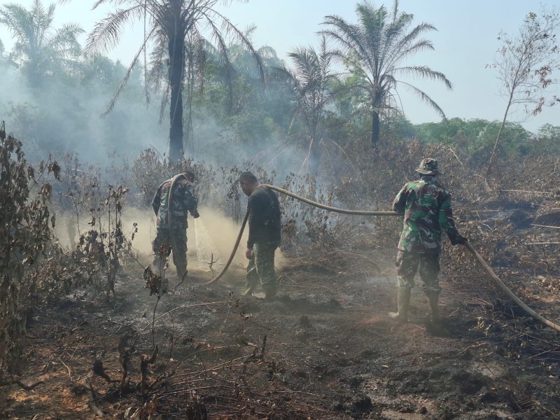 Karhutla 1,5 Hektare Terbakar di Mundam, TNI dan BPBD Dumai Lakukan Pemadaman