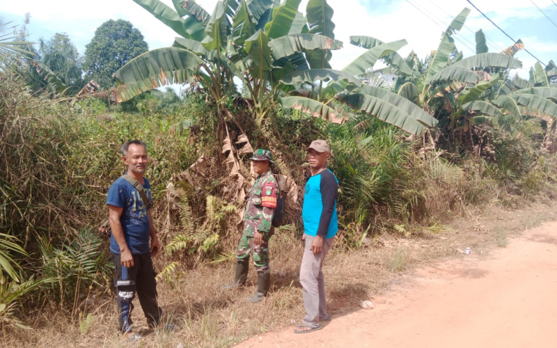 TNI Terus Bergerak: Babinsa Sungai Geniot Edukasi Warga Soal Bahaya dan Sanksi Pembakaran Lahan