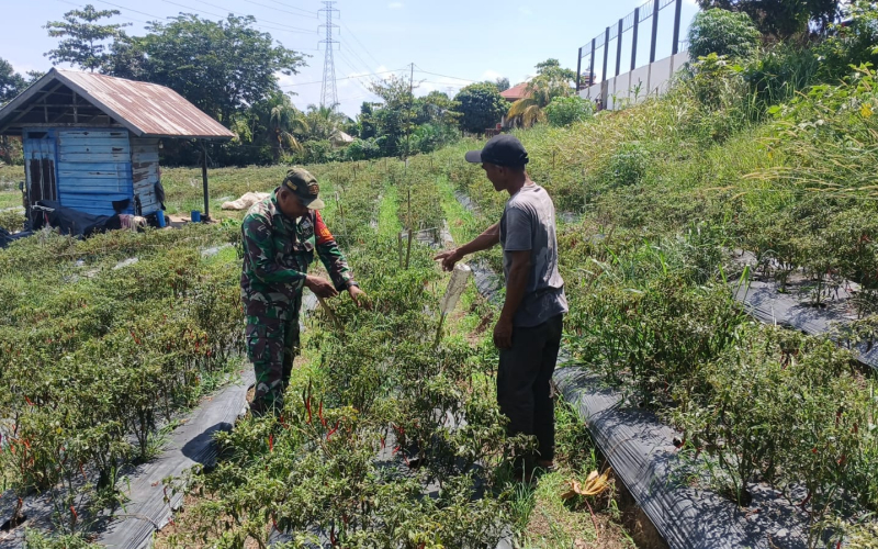 Cegah Karhutla, Babinsa Pelintung Ajak Warga Jaga Lingkungan dan Dukung Ketahanan Pangan