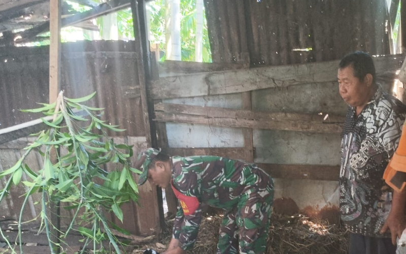 Dandim Dumai Tekankan Pentingnya Keterlibatan Babinsa dalam Mendampingi Peternak