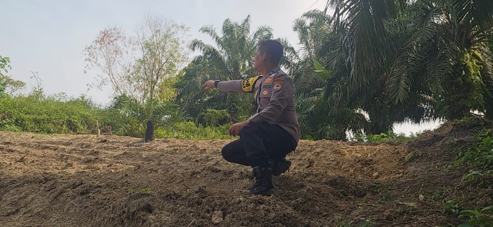 Polsek Minas Dampingi Kelompok Tani Siapkan Lahan Jagung Pipil Seluas Setengah Hektare