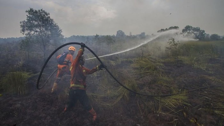 Antisipasi Karhutla, PTPN IV PalmCo Perkuat Deteksi Dini dan Patroli di Sumatera-Kalimantan
