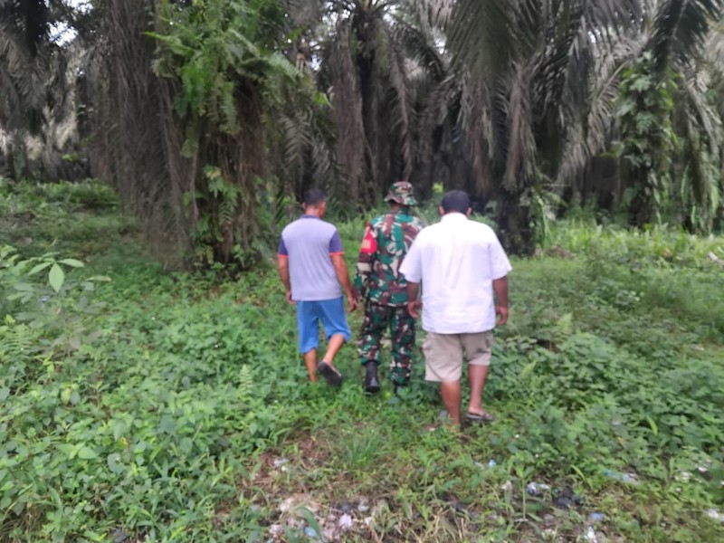 Babinsa Koramil 04/Perawang Laksanakan Patroli Karhutla, Pastikan Wilayah Tualang Aman dari Titik Api