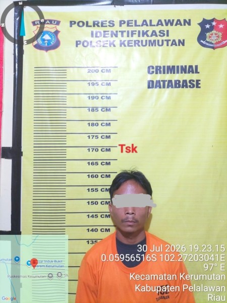 Polsek  Kerumutan  Gagalkan Pencurian 570 Kg TBS, 1 Pelaku Diamankan