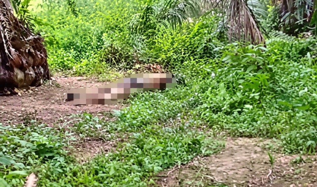 Jasad Tanpa Identitas Ditemukan di Areal PT Adei, Empat Hari Usai Kericuhan