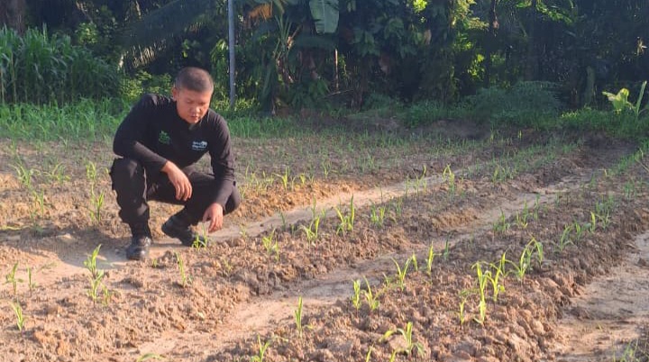 Bhabinkamtibmas Minas Jaya Cek Perkembangan Jagung Program Ketahanan Pangan Kuartal II