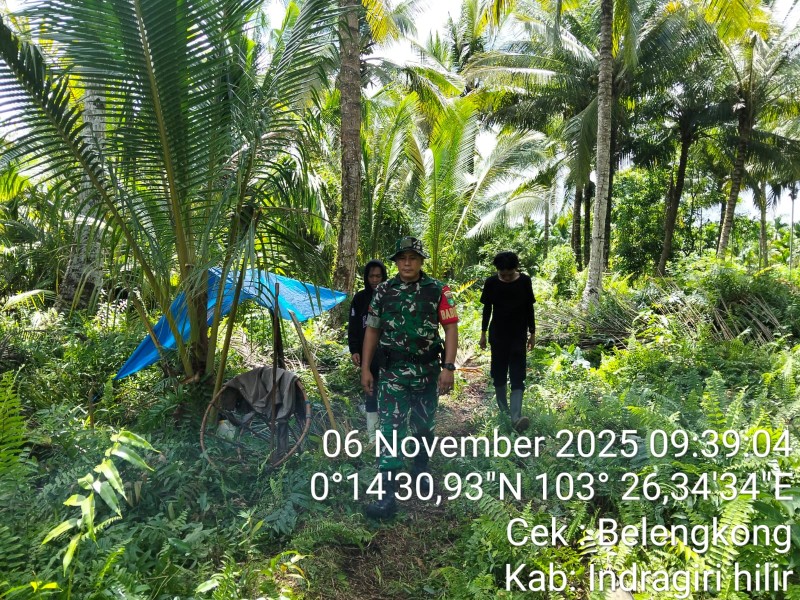Babinsa Koramil 06/Kateman Laksanakan Patroli Tapal Batas, Pastikan Wilayah Bebas Karhutla