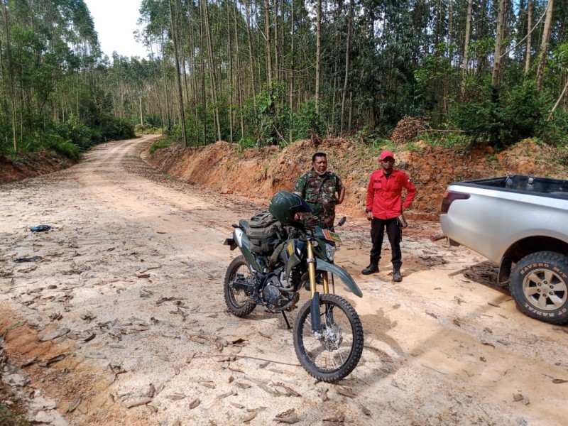 Babinsa Koramil 03/Minas Gelar Patroli Karhutla di Muara Bungkal, Kondisi Nihil Titik Api