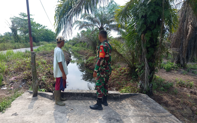 Babinsa Koramil 01/Dumai Patroli Karhutla, Sosialisasi Banjir dan Dampingi Warga Tanam Bayam