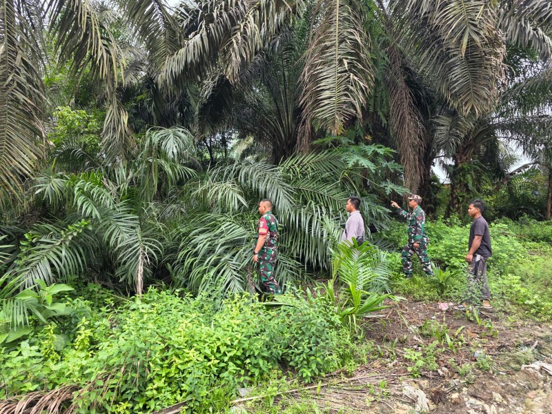 Babinsa Kopda AKP Hutagalung Gelar Patroli Karhutla di Minas Barat, Hasil Nihil Titik Api
