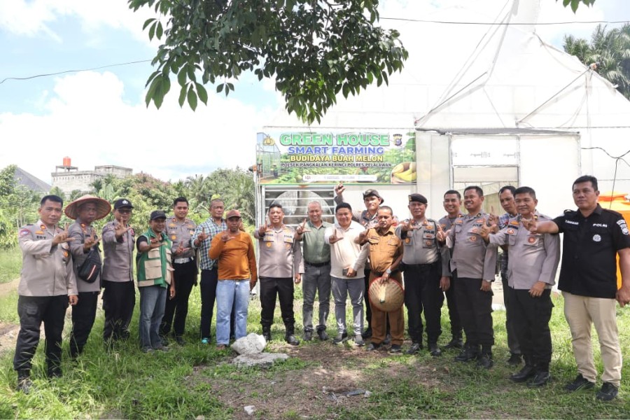 Polsek Pangkalan Kerinci Luncurkan Green House Smart Farming, Melon Madu Honey Globe Siap Jadi Ikon Pertanian Modern Pelalawan