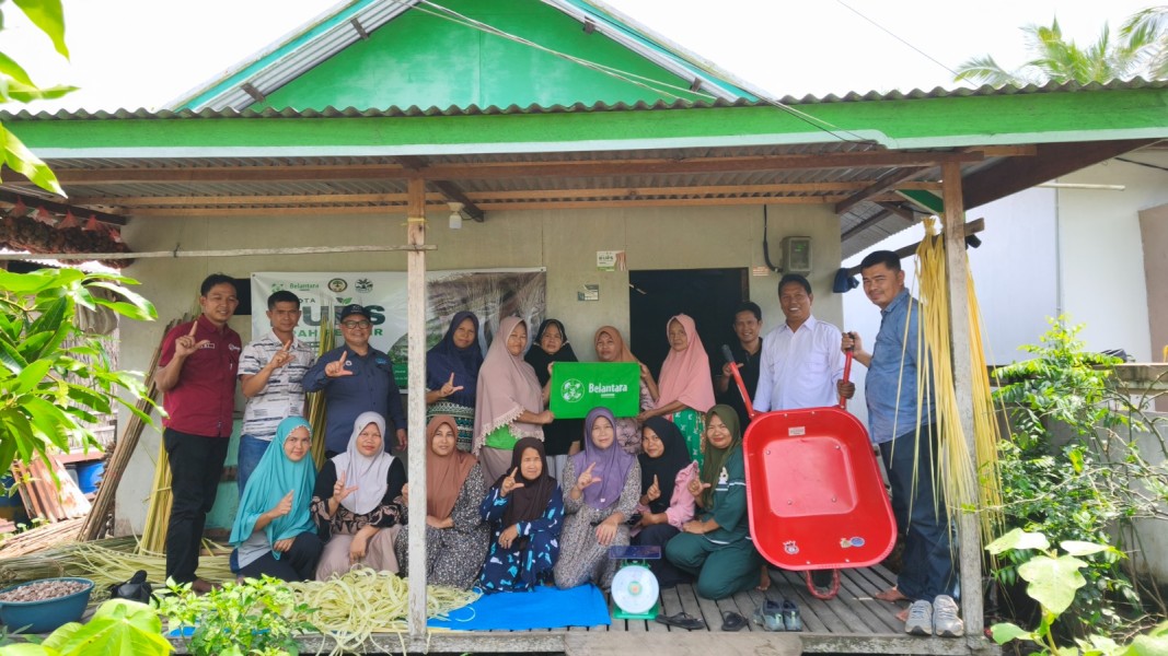Hari Mangrove Sedunia 2026: Mengenal Rencana Perlindungan dan Pengelolaan Ekosistem Mangrove Nasional