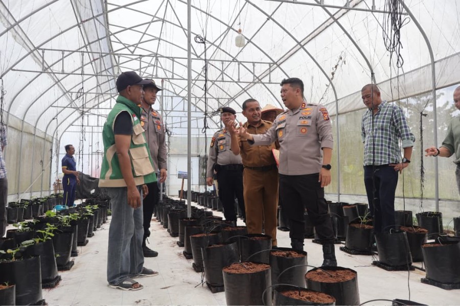 Kapolsek Pangkalan Kerinci Launching Melon Madu Honey Globe di Green House Smart Farming, Polri Hadir untuk Ketahanan Pangan
