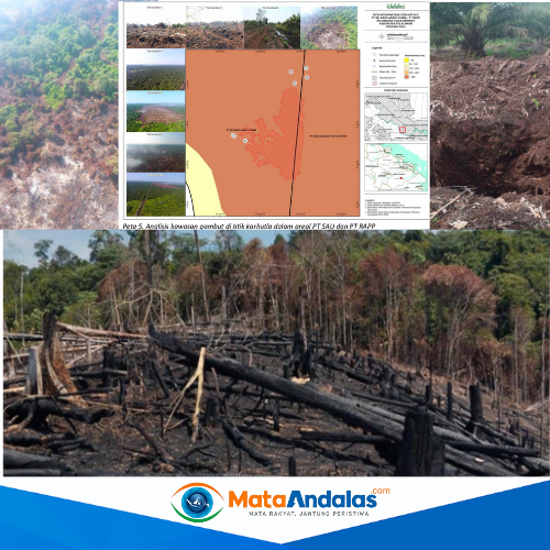 Lima Korporasi di Riau Terancam Pidana Lingkungan, Jikalahari Laporkan ke Polda