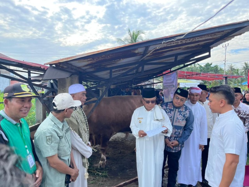 Serahkan Sapi Kurban Bantuan Presiden Prabowo Seberat 903 Kg ke Masjid Ar-Rahmah, Bupati Meranti: Semoga Membawa Keberkahan bagi Warga