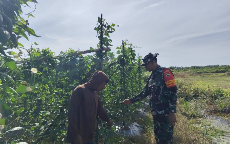 Koramil 03 Beri Dukungan Terhadap Swasembada Pangan