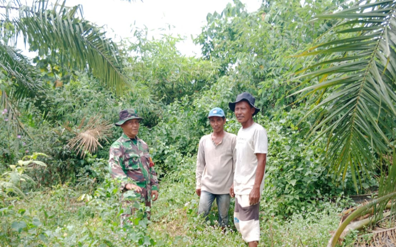 Kodim Dumai Intensifkan Patroli Karhutla, Pastikan Lahan Gambut Aman Tanpa Titik Api