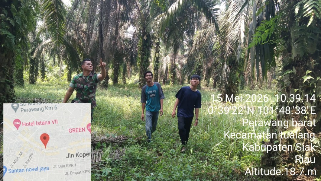 Kopka Togi Sitorus Laksanakan Patroli Karhutla di Perawang Barat, Tidak Ditemukan Titik Api