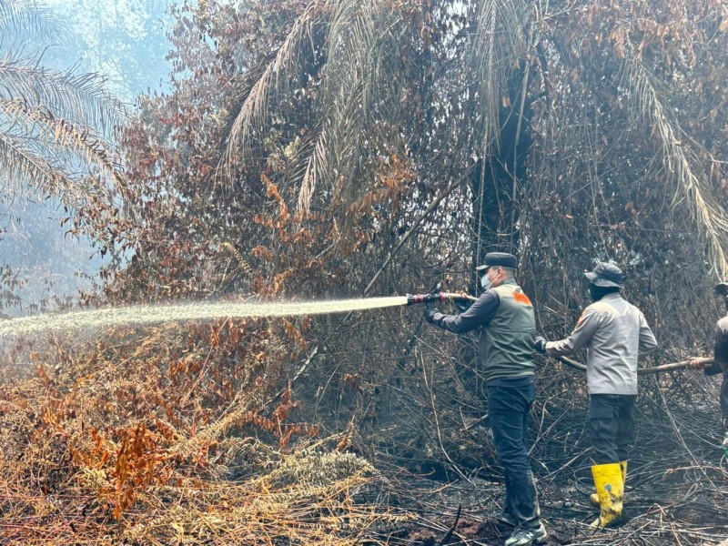 Terjun Langsung ke Lokasi Karhutla Sungai Guntung Hilir, Bupati dan Kapolres Inhu Apresiasi Perjuangan Tim Gabungan