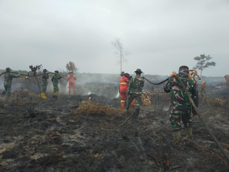 Pendinginan Karhutla Hari Keempat di Bangsal Aceh Terus Dilakukan, Dandim: Fokus Pastikan Api Tak Kembali Muncul