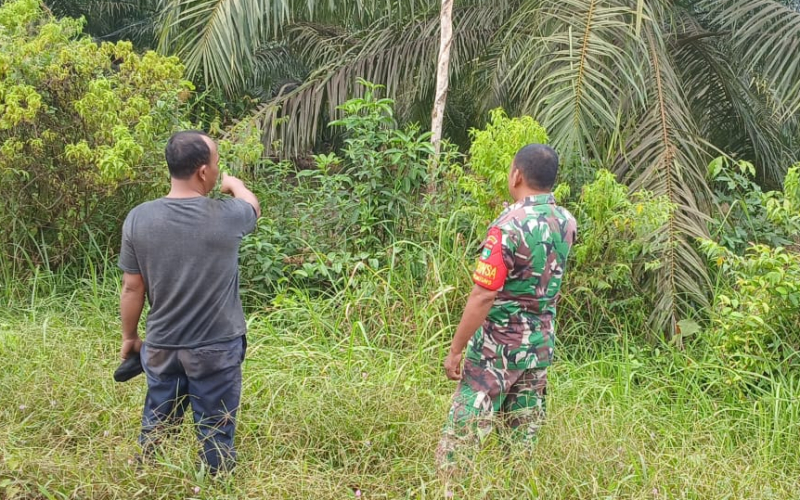 Patroli Karhutla, Babinsa Pelintung Imbau Warga Tak Buka Lahan dengan Membakar