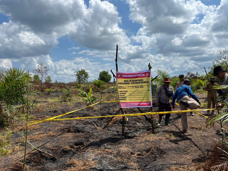 Niat Hati Bakar Semak Untuk Tanam Cabai, Pria di Sungai Apit Ditangkap Polisi Setelah Api Hanguskan 10 Hektare Lahan