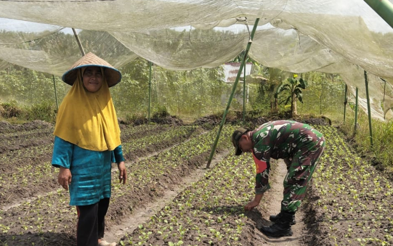 Sertu Jumat Desmanto Gerakkan Warga Bagan Besar Timur Wujudkan Swasembada Pangan
