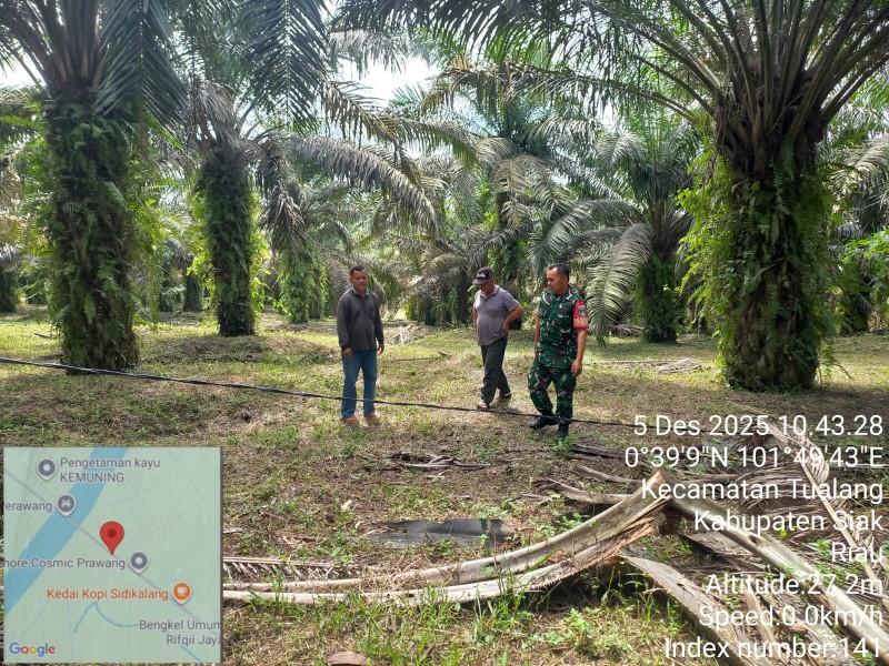 Babinsa Serka Afrisal Gelar Patroli Karhutla di Tualang, Pastikan Tidak Ada Titik Api